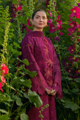 RANG RASIYA - 3PC LAWN CHIKANKAARI EMBROIDERED SHIRT WITH KHADDI NET EMBROIDERED DUPATTA AND TROUSER - HZG2966